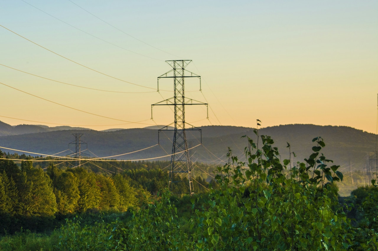 Electric posts near trees under clear sky at daytime Forest, human, mountains, and plant in Québec, Canada